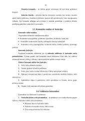 Vadovavimo NVO stiliai. Komandos kūrimas 10 puslapis