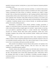 Vadovo vadovavimo stiliai 11 puslapis