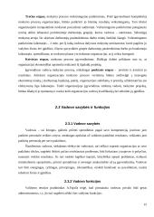 Vadovo vadovavimo stiliai 15 puslapis