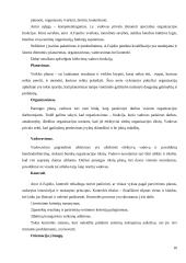 Vadovo vadovavimo stiliai 16 puslapis