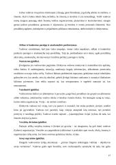 Vadovo vadovavimo stiliai 17 puslapis