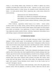 Vadovo vadovavimo stiliai 4 puslapis