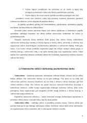 Vadovo vadovavimo stiliai 6 puslapis