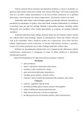 Vadovo vadovavimo stiliai 9 puslapis