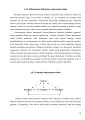 Vadovo vadovavimo stiliai 10 puslapis