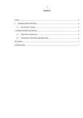 Romantizmo filosofija 2 puslapis