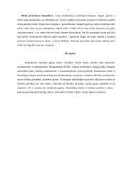 Romantizmo filosofija 6 puslapis