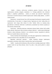 Vadovavimo stiliai ir elgsena 3 puslapis