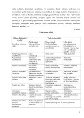 Vadovavimo stiliai ir elgsena 6 puslapis