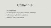 Kalėdų reikšmė tautosakoje 4 puslapis