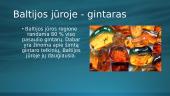 Baltijos jūra (skaidrės) 4 puslapis