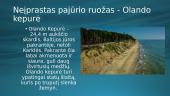 Baltijos jūra (skaidrės) 7 puslapis