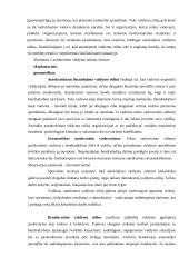 Vadovavimo stilius ir strategijos 2 puslapis