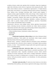 Vadovavimo stilius ir strategijos 3 puslapis