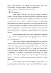 Vadovavimo stilius ir strategijos 4 puslapis