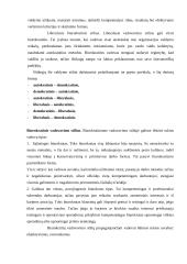 Vadovavimo stilius ir strategijos 5 puslapis