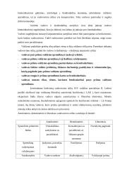 Vadovavimo stilius ir strategijos 7 puslapis