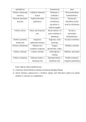Vadovavimo stilius ir strategijos 8 puslapis