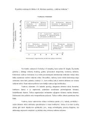 Vadovavimo stilius ir strategijos 9 puslapis