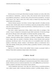 Vadovavimo stilius orientuotas į žmogų 2 puslapis