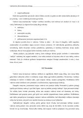 Vadovavimo stilius orientuotas į žmogų 11 puslapis