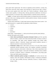 Vadovavimo stilius orientuotas į žmogų 3 puslapis