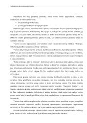 Vadovavimo stilius orientuotas į žmogų 8 puslapis