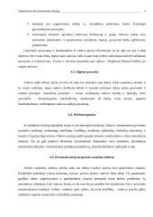 Vadovavimo stilius orientuotas į žmogų 9 puslapis