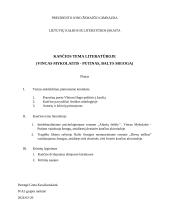 Kančios tema literatūroje (kalbėjimas) 3 puslapis