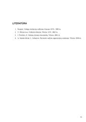 Vadovavimo strategijos: "Vilniaus miesto vaikų pensionatas" 13 puslapis