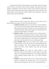 Vadovavimo strategijos: "Vilniaus miesto vaikų pensionatas" 6 puslapis