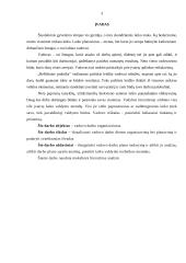 Vadovo darbo dienos organizavimas 2 puslapis