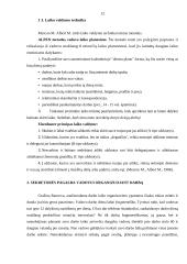 Vadovo darbo dienos organizavimas 11 puslapis