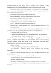 Vadovo darbo dienos organizavimas 7 puslapis
