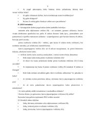 Vadovo darbo dienos organizavimas 8 puslapis