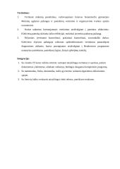 Informacinių technologijų modulio „Programavimas“ ilgalaikis pamokų planas 2 puslapis