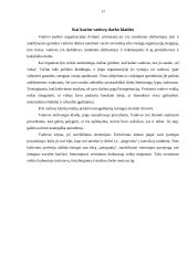 Vadovo darbo ypatumai 11 puslapis