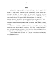 Vadovo darbo ypatumai 3 puslapis