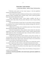 Vadovo darbo ypatumai 4 puslapis