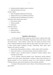 Vadovo darbo ypatumai 7 puslapis