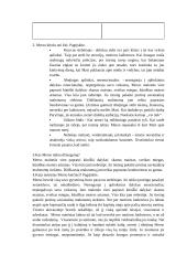 Alberas Kamiu ,,Svetimas“ analizavimas 2 puslapis