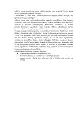 Alberas Kamiu ,,Svetimas“ analizavimas 3 puslapis