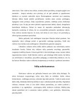 Vadovo elgesio ir stiliaus formavimas 14 puslapis