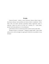 Vadovo elgesio ir stiliaus formavimas 16 puslapis