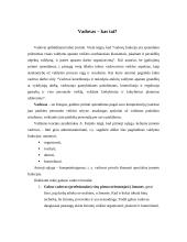 Vadovo elgesio ir stiliaus formavimas 3 puslapis