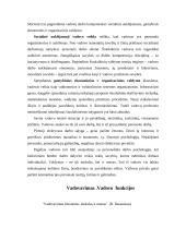 Vadovo elgesio ir stiliaus formavimas 5 puslapis