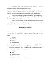 Vadovo elgesio ir stiliaus formavimas 6 puslapis