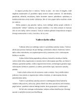 Vadovo elgesio ir stiliaus formavimas 7 puslapis