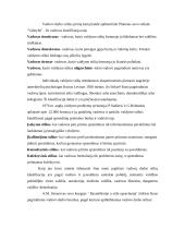 Vadovo elgesio ir stiliaus formavimas 8 puslapis