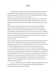 Vadovo funkcijos 2 puslapis